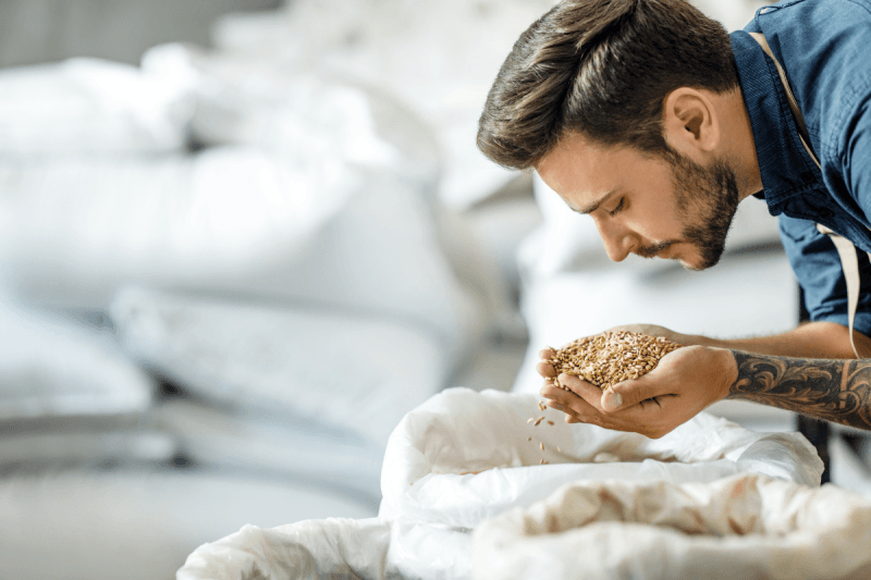 jonas-leroy-smelling-brewing-grain