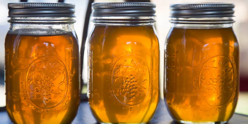 A collection of glass fermentation jars with cloth covers and finished swing-top bottles of kombucha on a kitchen counter.