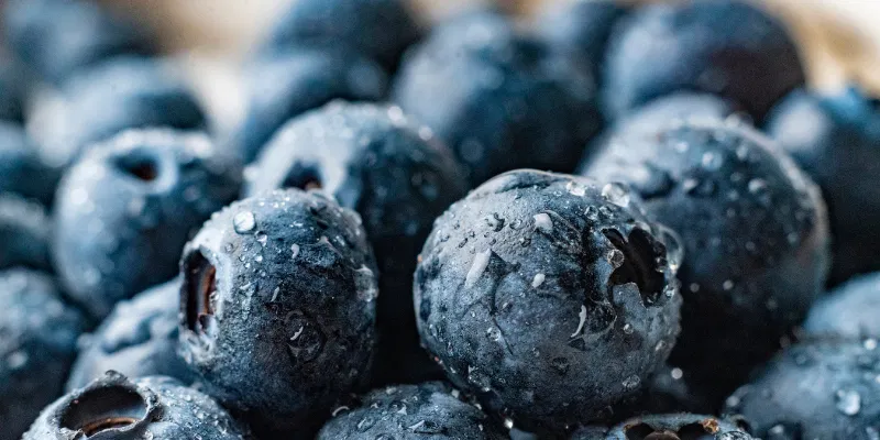 Using fresh, ripe blueberries is the secret to getting a vibrant color and deep fruit flavor in your homemade shrub.