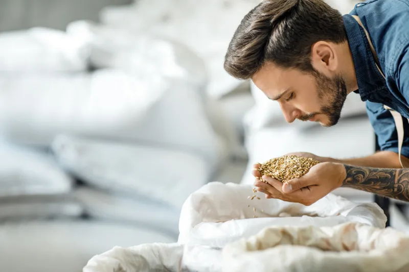 jonas-leroy-smelling-brewing-grain