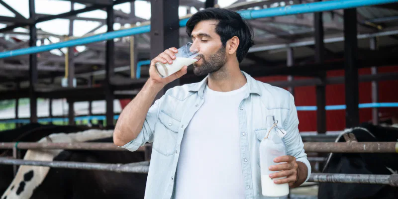 A male dairy farmer in a white t-shirt and light blue button-down shirt drinking a glass of milk and holding a glass bottle in a stable with cows.
