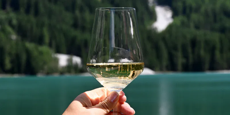 A hand holding a glass of dealcoholized German white wine against a scenic background of a turquoise European lake and green mountains.